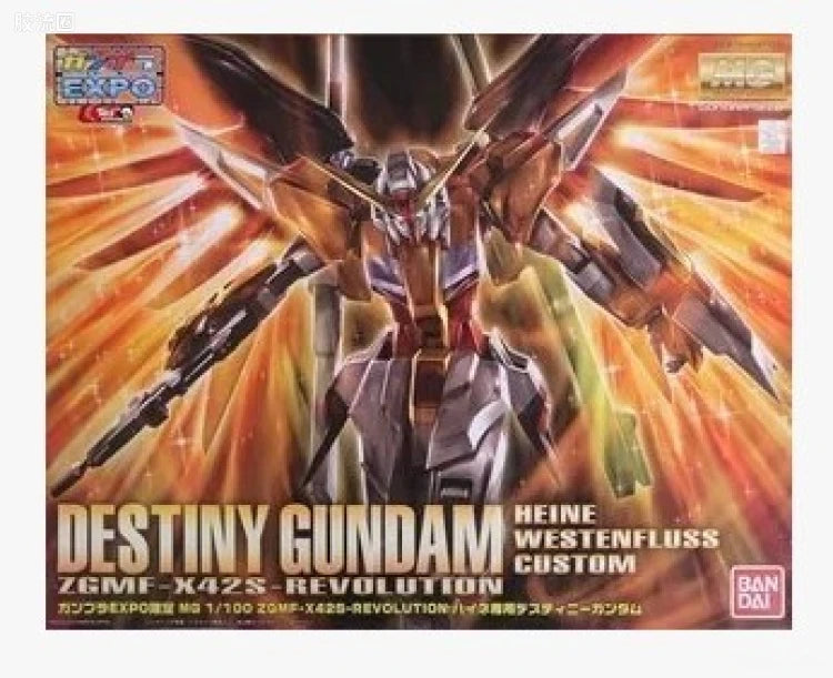 Bandai MG 1/100 Destiny Gundam (Heine Westenfluss Custom)