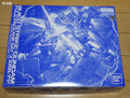 P-Bandai MG 1/100 Build Strike Gundam Full Package [Plavsky Particle Clear Ver.]