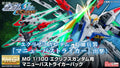 MG 1/100 Maneuver Striker Pack for Eclipse Gundam