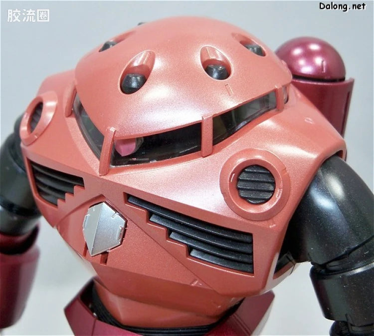 MG 1/100 MSM-07S Z'Gok (Coating Version) [Char Aznable Custom]