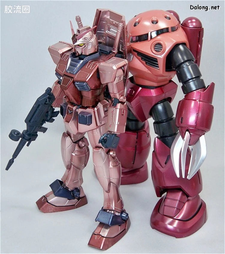 MG 1/100 MSM-07S Z'Gok (Coating Version) [Char Aznable Custom]