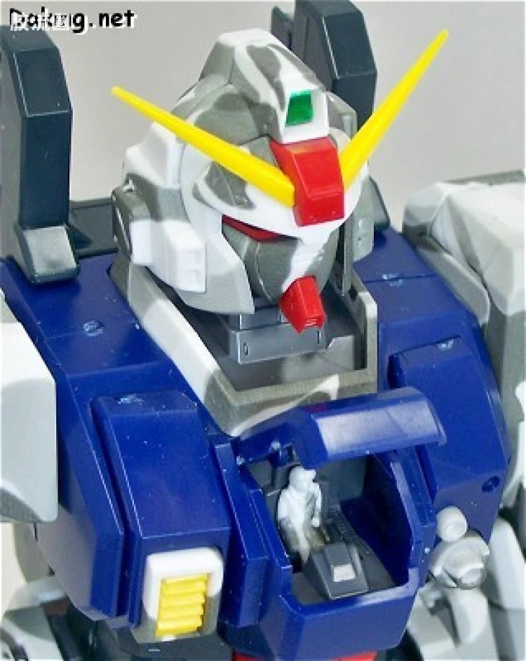 MG 1/100 RX-79[G] Gundam Ground Type Cold Climate Pattern A (Limited Edition)