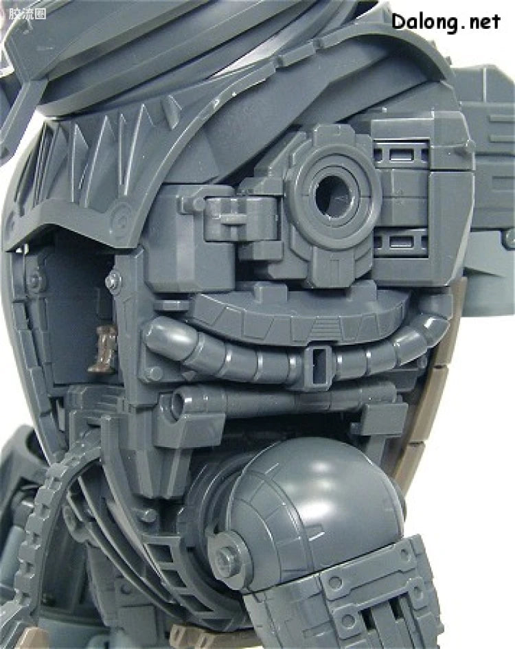Bandai MG 1/100 MSM-04 Acguy